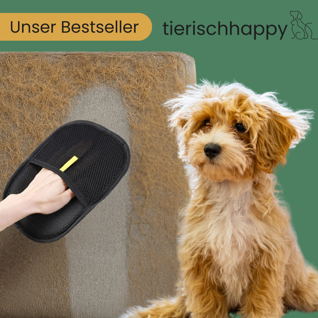Fellfänger - Die einfache Lösung gegen Tierhaare